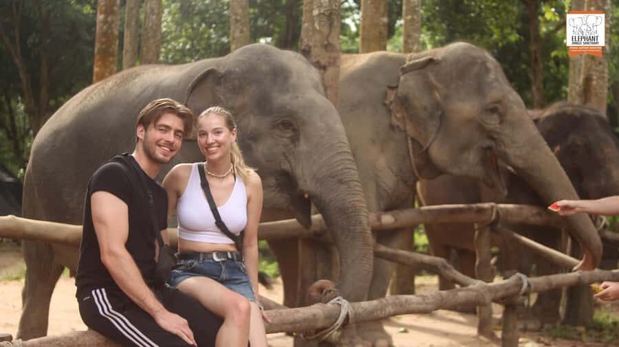 Koh Samui: Elephant Sanctuary Entry and Feeding Experience - Where the Magic Moments Come From: Behavior, Choice, and Calm
