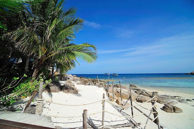 Koh Tao and Koh Nang Yuan Speedboat Tour from Koh Samui - Snorkeling Equipment: Handy Inclusion, Still Check Your Fit