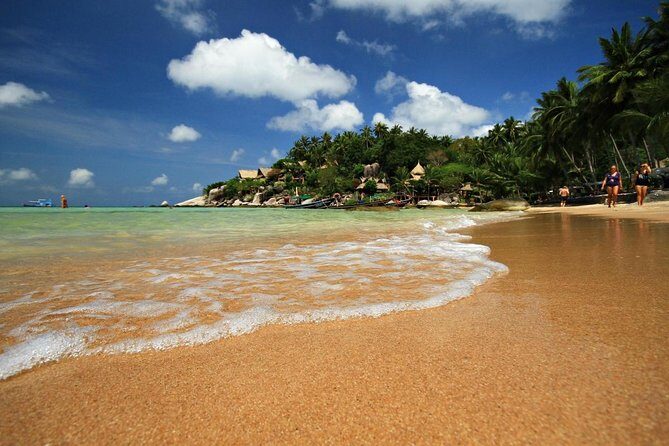 Pig Feeding, Kayaking, Snorkeling Trip at Pig Island By Speedboat From Koh Samui - Key things to know before you go