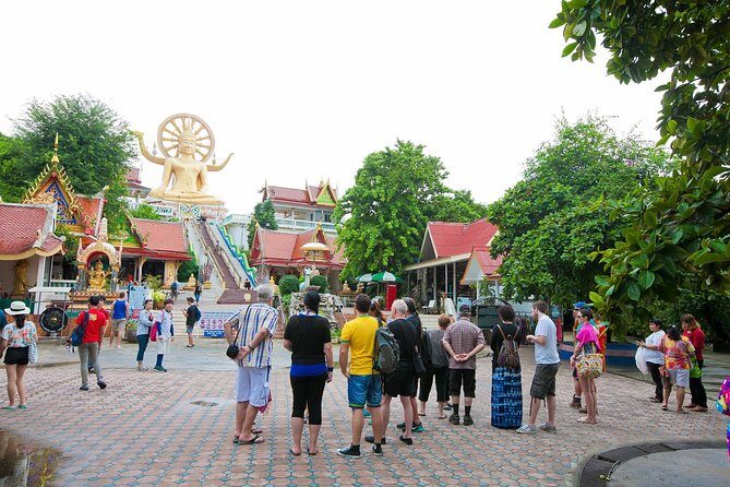 Private Group City Tour Around Koh Samui - Lad Koh Viewpoint and Na Muang Waterfall: The Best Way to Break Up Temples