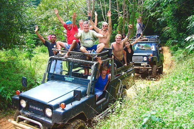 Private Jungle 4x4 Safari Tour - Full Day Discovery of Koh Samui - Ancient Rubber Tree: 400 years of living history in the jungle