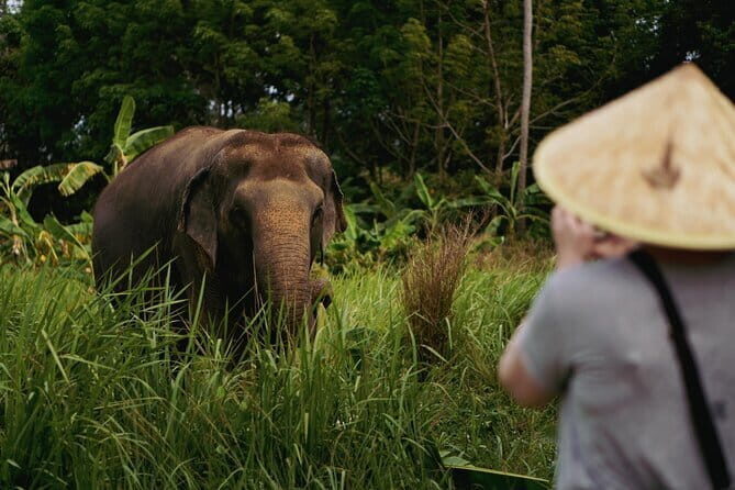 Samui Elephant Kingdom Ethical Sanctuary and Skywalk Tour - Who Should Book This Tour (and Who Might Pause)