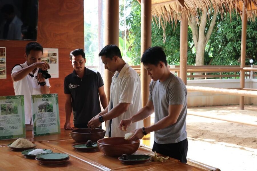 Samui: Elephant Nutrition and Care Education Experience - Ethical Elephant Care and Conservation: What You’re Supporting